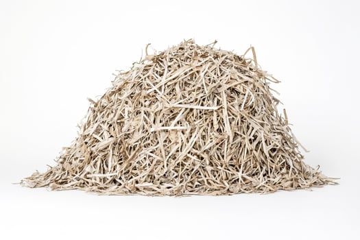 Pile of Shredded Paper photo