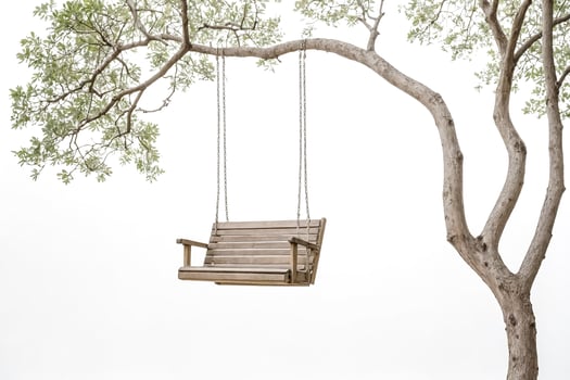 Wooden Swing Hanging from a Tree Branch photo