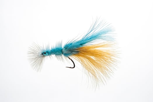 Blue and Gold Fly Fishing Lure photo
