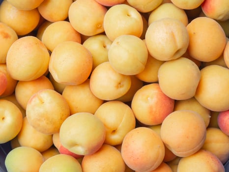 Fresh organic apricot background. Harvest yellow red fruits edible background photo