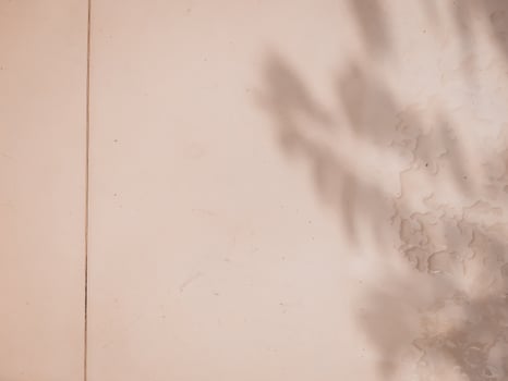 brown wood texture with light wooden background. Selective focus. Space for copy text. photo