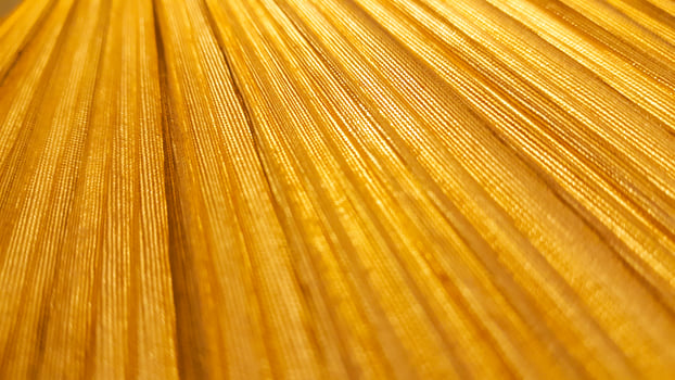 A close-up photograph of a yellow lampshade. photo
