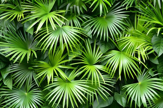 Green jungle foliage, a natural, organic background photo