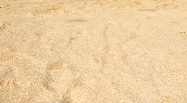 beach sandy beach beautiful nature photo