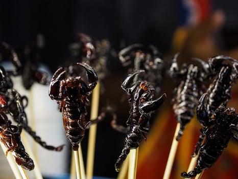 Grilled scorpion skewers in Bangkok, Thailand photo