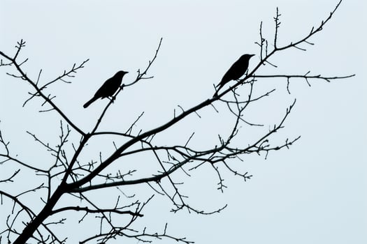 Verdant Birds tree branch wildlife. Generate Ai photo