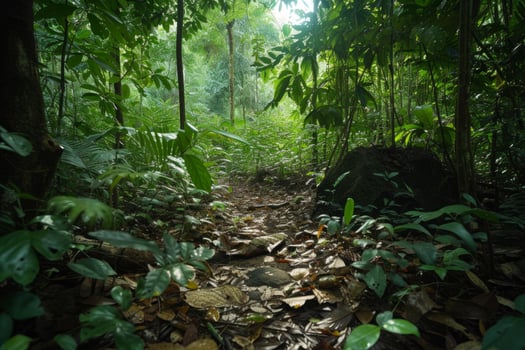 Serene jungle pathway at dawn photo