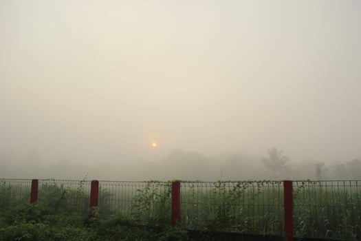 a foggy day with a fence and a fence photo