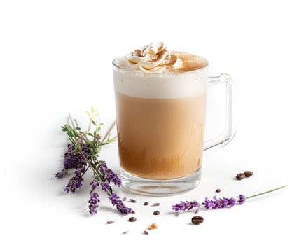 a latte with whipped cream and lavender flowers photo