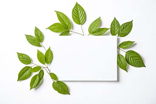 Blank Card Surrounded by Green Leaves photo
