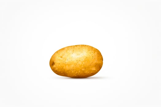 Single Potato on White Background photo