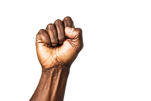 Raised Fist in Solidarity photo