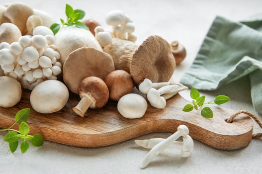 Assortment of various mushrooms photo