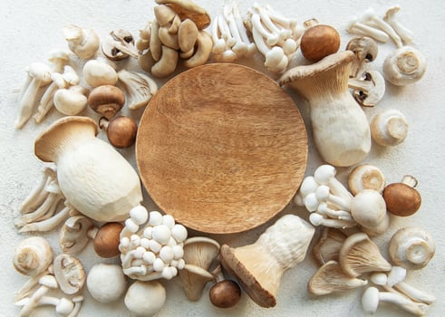 Assortment of various raw mushrooms photo