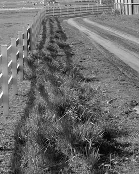 Landscape background. Black and white photo of beautiful nature