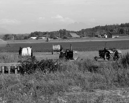 Landscape background. Black and white photo of beautiful nature