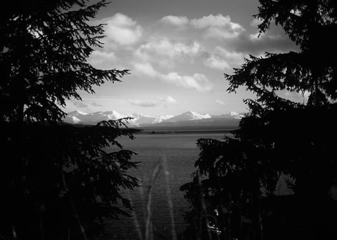 Landscape background. Black and white photo of beautiful nature