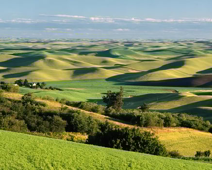 Landscape background. Photo of beautiful nature