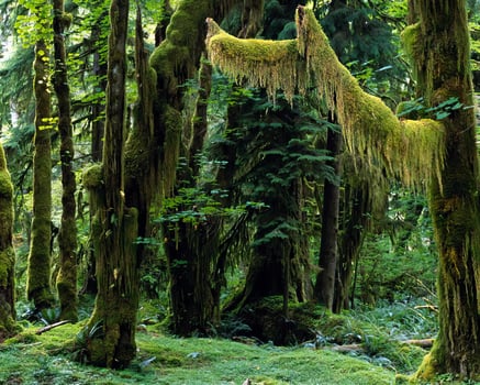 Landscape background. Photo of beautiful nature