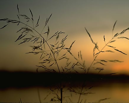 Landscape background. Photo of beautiful nature