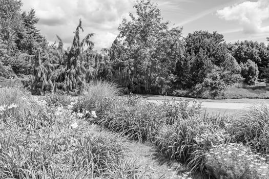 Big Garden in germany photo