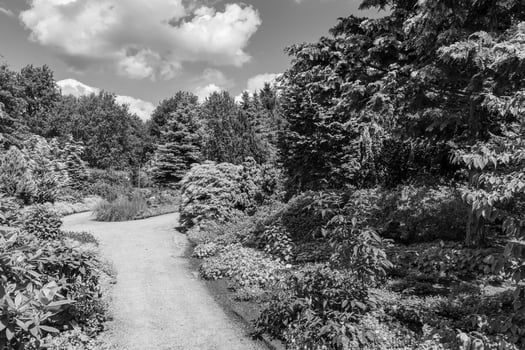 Big Garden in germany photo