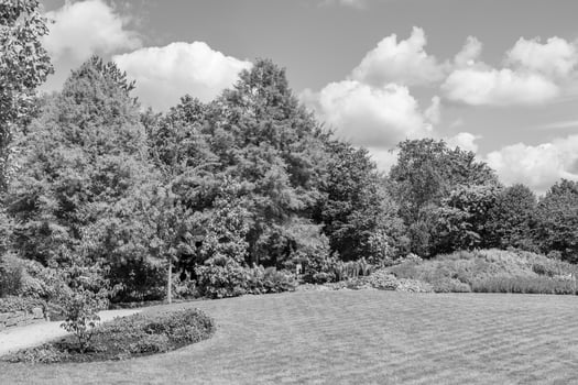summer time in a german garden photo