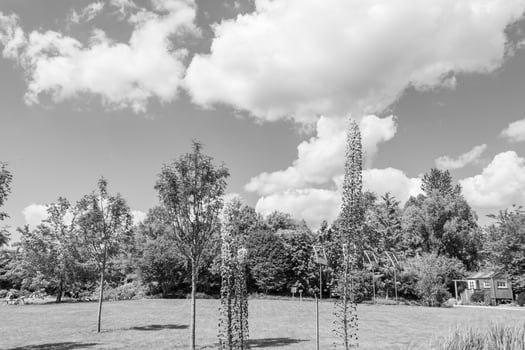 summer time in a german garden photo