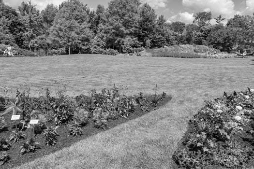 summer time in a german garden photo