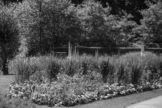 summer time in a german park photo