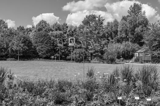 summer time in a german park photo