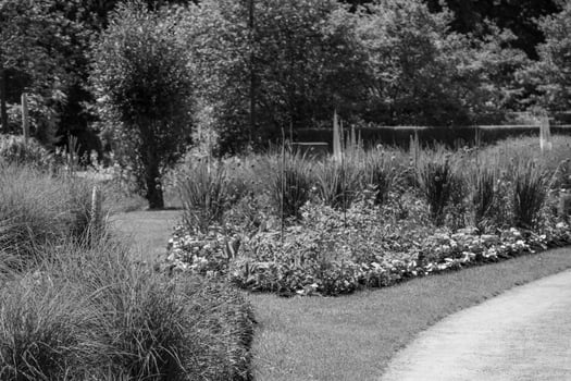 summer time in a german park photo