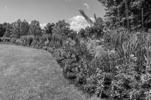 summer time in a german park photo