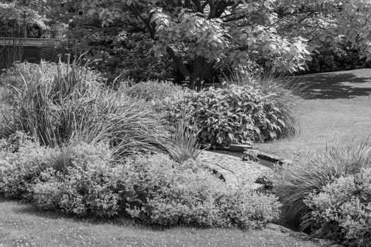 summer time in a german park photo