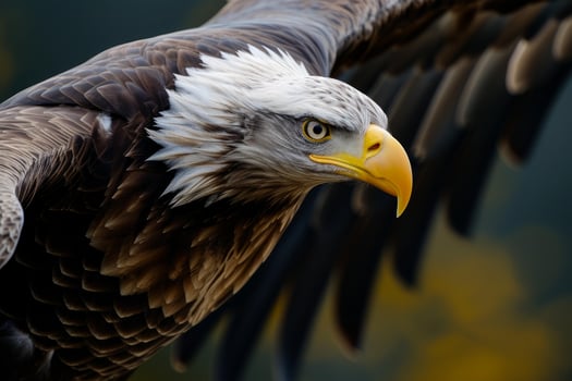 Regal Eagle bird. Generate Ai photo