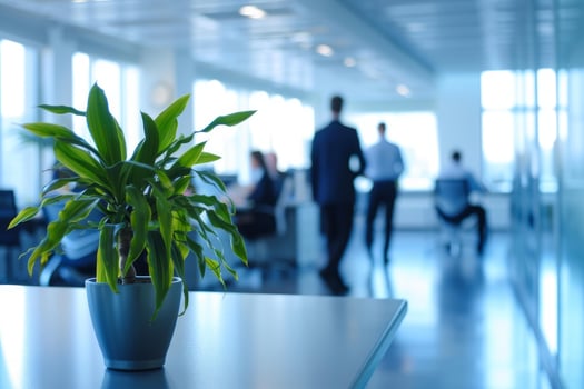 Modern office environment with focus on green plant photo