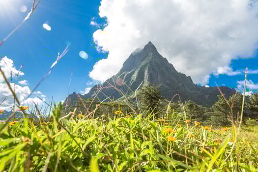 Moorea Island in the French Polynesia. photo