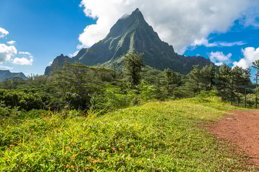 Moorea Island in the French Polynesia. photo