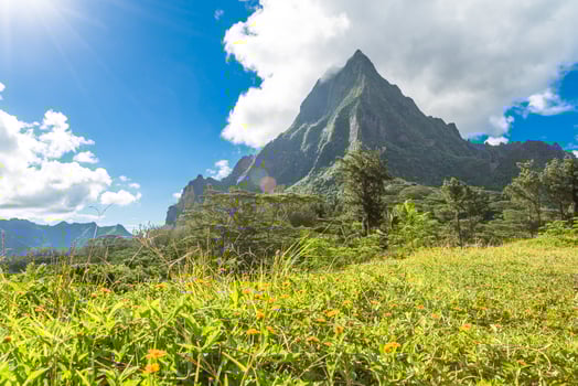 Moorea Island in the French Polynesia. photo