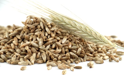 Pile of rye grains with rye stalks on a white background photo