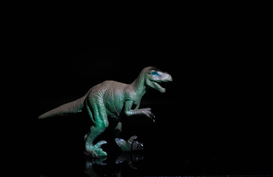 Velociraptor is an extinct genus of dromaeosaurid dinosaur that lived in the Upper Cretaceous, approximately 75-71 million years ago. Hole on black background photo