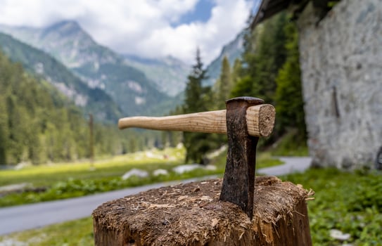 close-up of a hatchet planted in the stump photo
