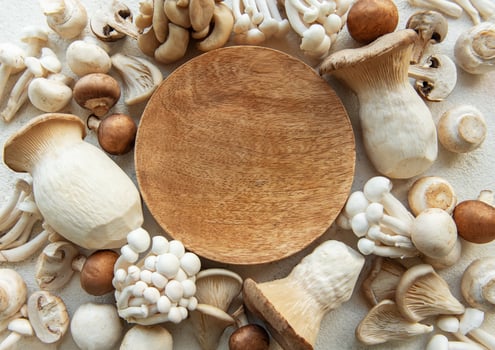 Assortment of various raw mushrooms photo