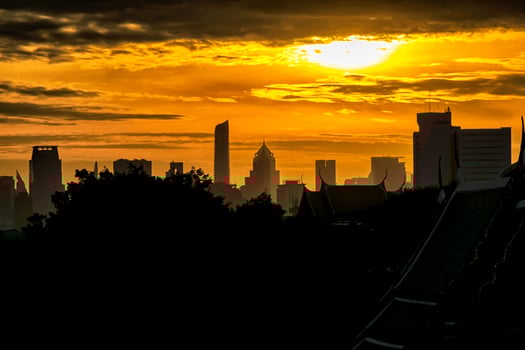 Fiery Sunset with Tree Silhouette. Capital city, high building. photo