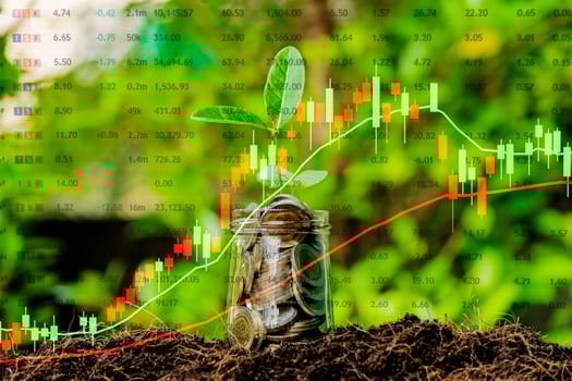 Financial investment concept, Stock graphs are rising. a full coin, The tree is growing. photo
