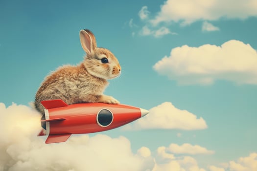 Adventurous bunny on a rocket photo