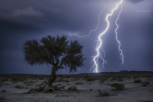 Lone tree struck by lightning in stormy desert landscape photo
