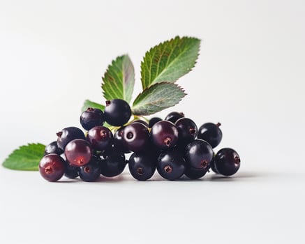 black currant berries on white background photo