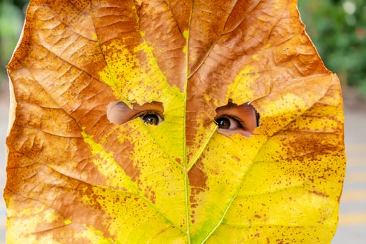 An Asian girl is behind the leaf. The leaves are pierced until the eyes are bright on both sides. faceshield concept photo