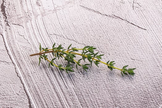 Aroma seasoning thyme stem with leaves photo